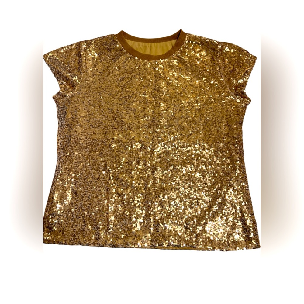 SEQUIN TOP - NWOT